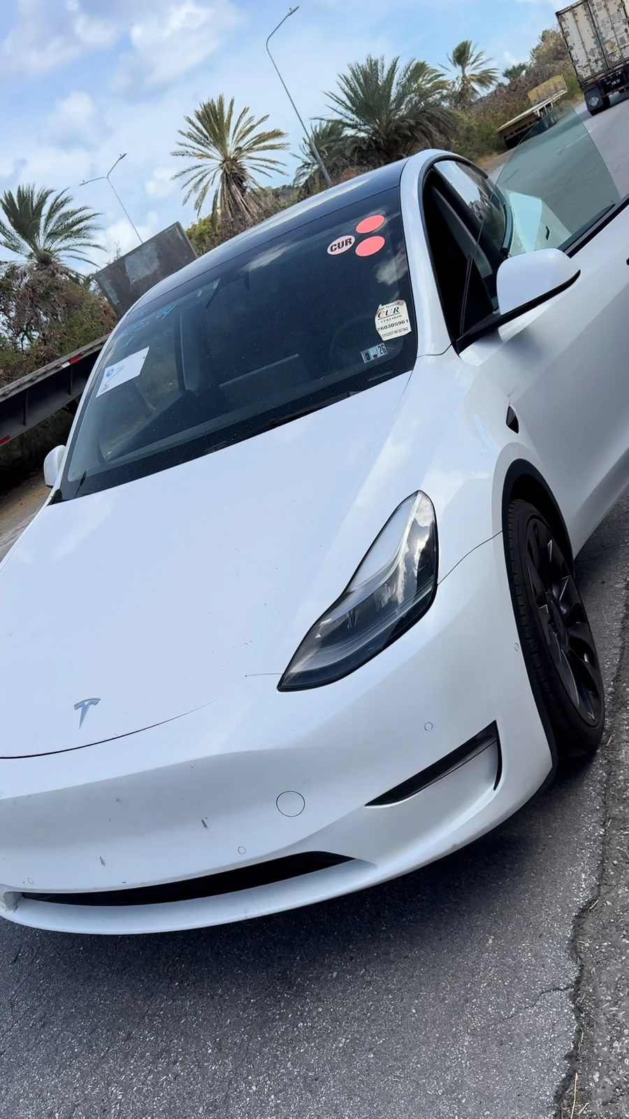 White Tesla Model Y delivered in Curaçao, palm trees behind it